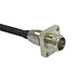 fiber cable microscope camera